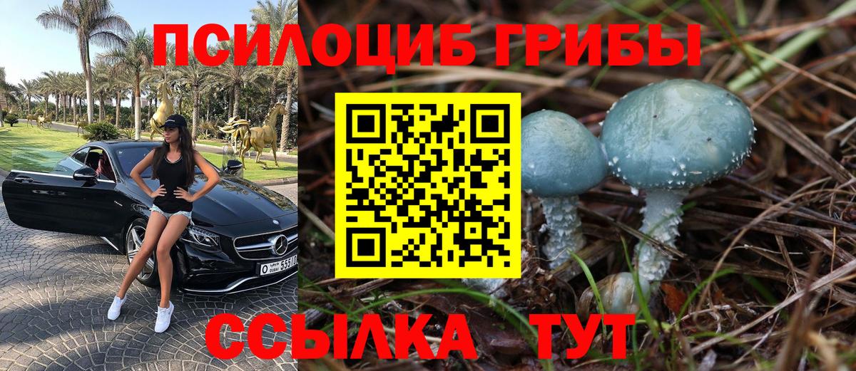 Псилоцибиновые грибы прущие грибы  Вход с VPN  Каспийск 